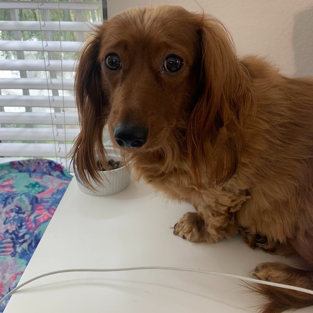 bookmark our closet! ♥ - Picture 2 of 15